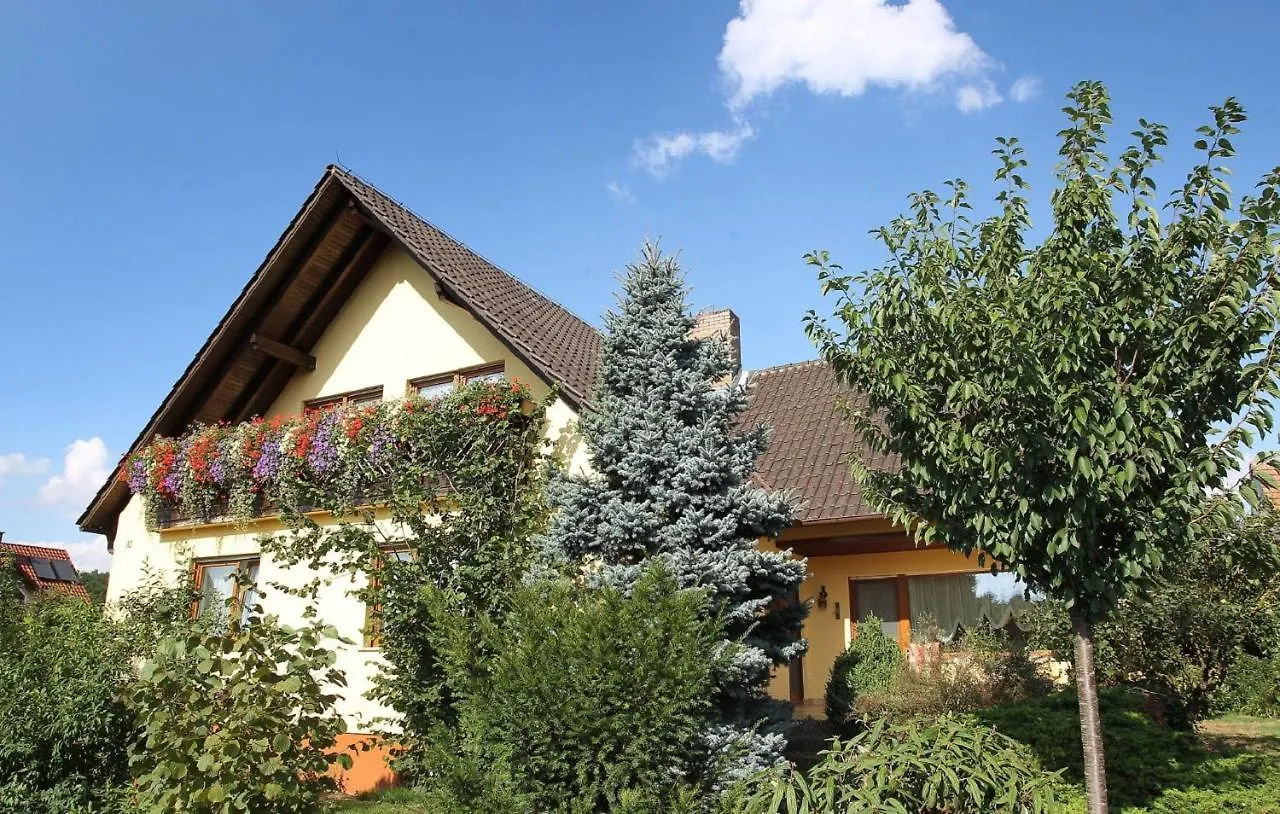 Haus Ziegler Apartment Kolitzheim