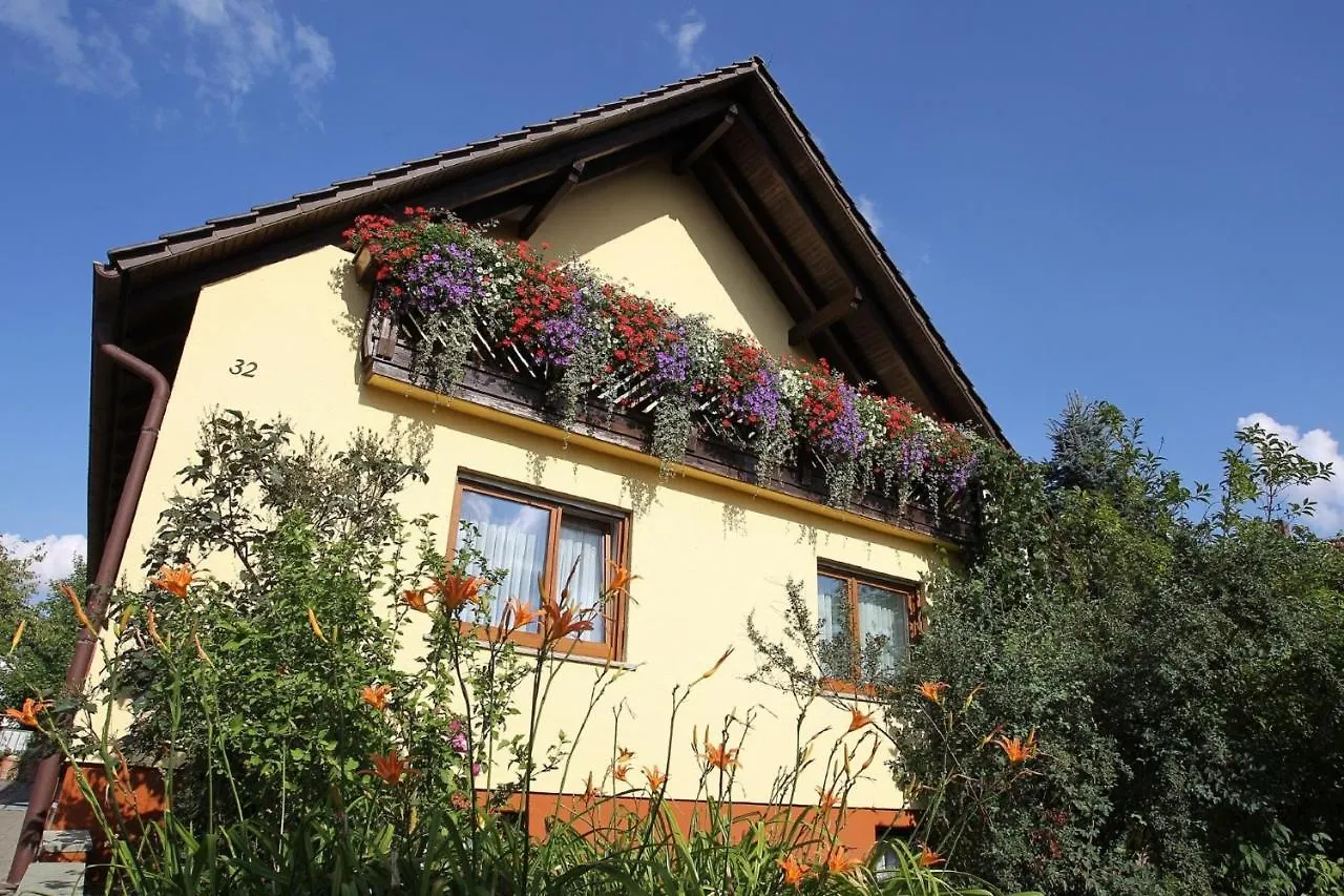 Haus Ziegler Apartment Kolitzheim